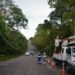 Amazonas Energia entrega mais duas passarelas para sauins-de-coleira