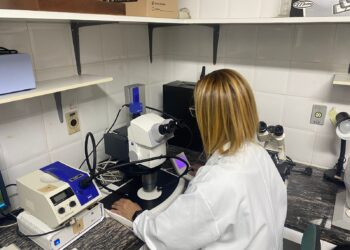 Sindicato requer concursos para nível médio no Inpa