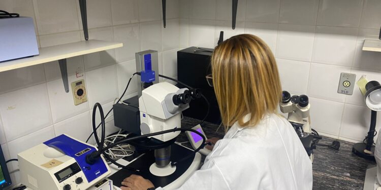 Sindicato requer concursos para nível médio no Inpa