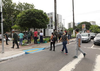 Prefeitura de Manaus realiza a campanha ‘Dentre as boas ações de 2024, adote uma árvore’