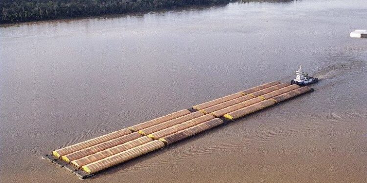 Sindicato diz que nível dos rios no AM está abaixo do esperado para o transporte fluvial de cargas
