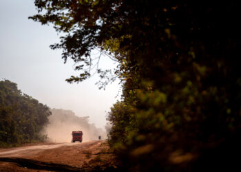 Observatório BR-319 promoveu diversas iniciativas para fortalecer governança na área de influência da rodovia 