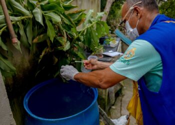 Manaus está em médio risco para doenças causadas pelo Aedes e nove bairros têm alta vulnerabilidade
