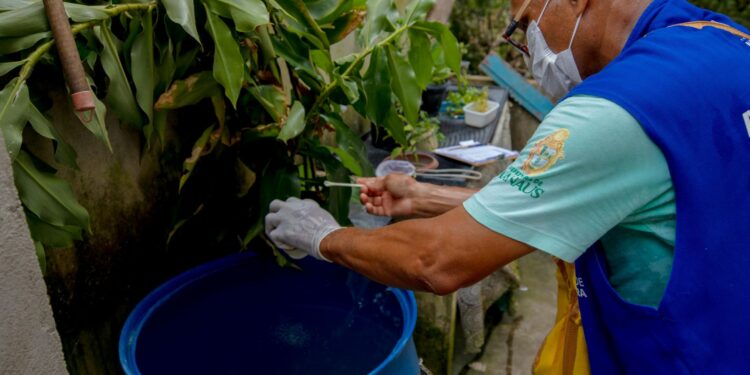 Manaus está em médio risco para doenças causadas pelo Aedes e nove bairros têm alta vulnerabilidade