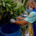 Manaus está em médio risco para doenças causadas pelo Aedes e nove bairros têm alta vulnerabilidade