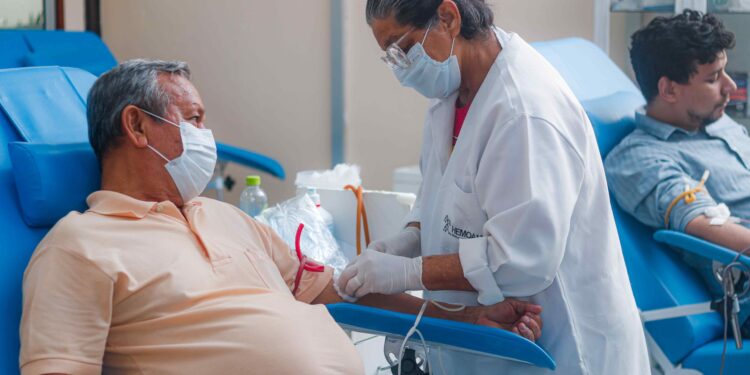 Levantamento aponta faixa etária com maior número de doadores de sangue no Amazonas