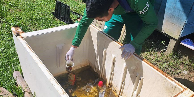 Dengue: Amazonas apresenta médio risco para circulação de Aedes aegypti, aponta 4º levantamento de índice do mosquito