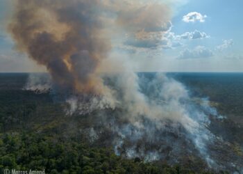 Municípios da BR-319 concentram 40% dos focos de calor durante temporada do fogo no Amazonas