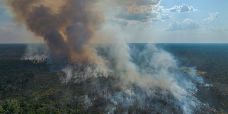 Municípios da BR-319 concentram 40% dos focos de calor durante temporada do fogo no Amazonas