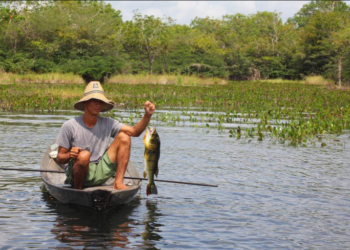 Confira o cronograma do auxílio extraordinário para pescadores