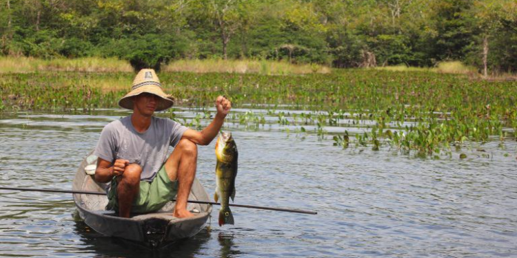 Confira o cronograma do auxílio extraordinário para pescadores