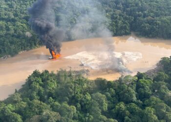 Ibama, Polícias Federal e Colombiana realizam operação contra garimpo ilegal