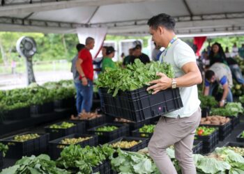 Wilson entrega 80 toneladas de alimentos adquiridos da agricultura familiar a instituições que atendem 10 mil famílias