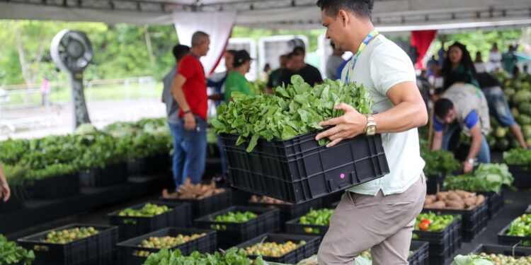 Wilson entrega 80 toneladas de alimentos adquiridos da agricultura familiar a instituições que atendem 10 mil famílias