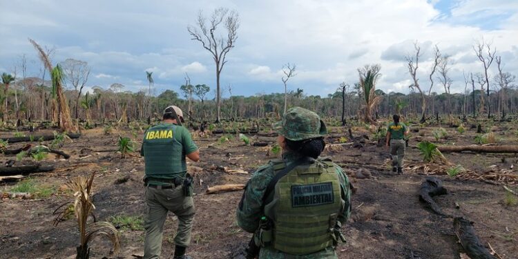 Ibama combate queimadas e desmatamento em Autazes (AM)