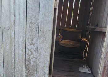 Pais são presos após agredir e manter criança em cárcere em casa de cachorro