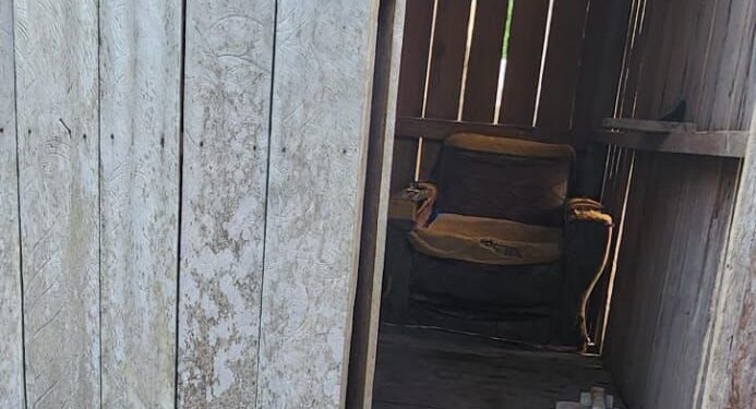 Pais são presos após agredir e manter criança em cárcere em casa de cachorro