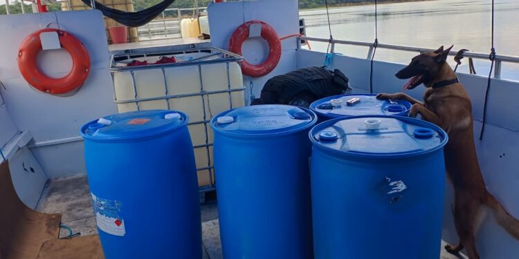 No Amazonas, PM prende dez pessoas e apreende mais de 350 kg de drogas