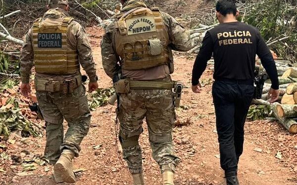 PF e PRF prendem em flagrante homem por transporte de madeira ilegal no AM