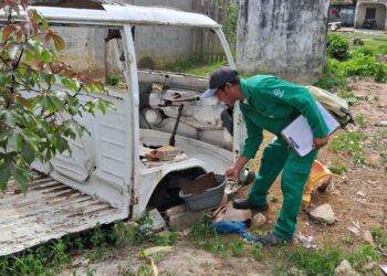 Dengue: Mais de 60% dos criadouros de mosquito Aedes aegypti poderiam ter sido evitados em vistorias semanais