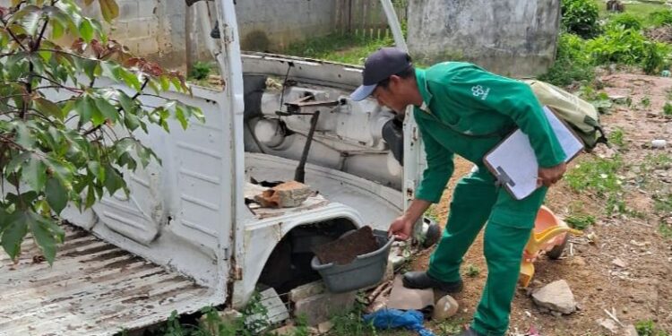 Dengue: Mais de 60% dos criadouros de mosquito Aedes aegypti poderiam ter sido evitados em vistorias semanais