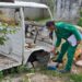 Dengue: Mais de 60% dos criadouros de mosquito Aedes aegypti poderiam ter sido evitados em vistorias semanais