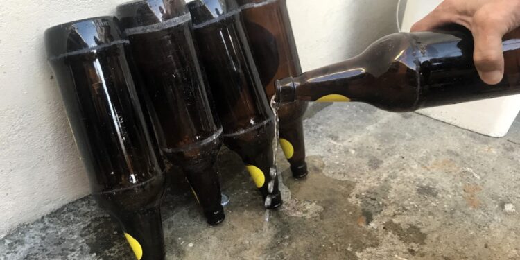 Eliminação de criadouros para mosquitos é a principal estratégia para prevenir a dengue