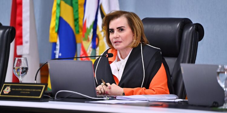 Presidente do TCE-AM anuncia prazo para gestores públicos prestarem contas sobre gastos de 2023