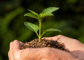 Mudanças climáticas preocupam o mundo e influenciam debates sobre o meio ambiente