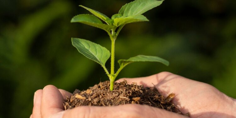 Mudanças climáticas preocupam o mundo e influenciam debates sobre o meio ambiente