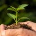 Mudanças climáticas preocupam o mundo e influenciam debates sobre o meio ambiente
