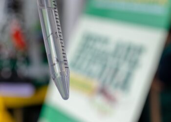 Em 2024, Manaus registrou 524 casos de dengue, informa prefeitura
