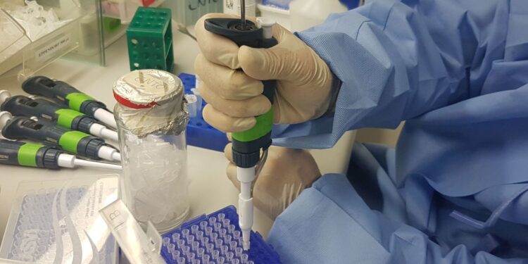 Conheça os exames de check-up para iniciar 2024 com a saúde em dia