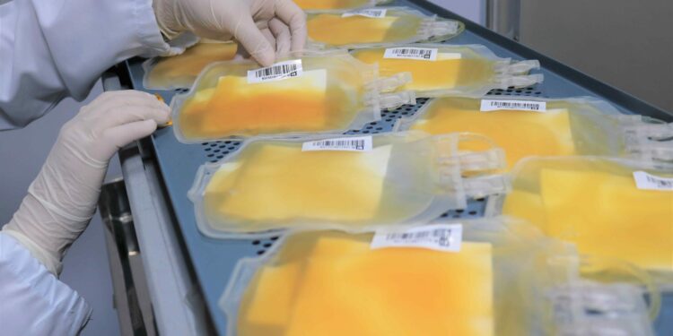 Após recorde em 2023, Hemoam reforça campanha para aumentar doações de plaquetas