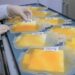 Após recorde em 2023, Hemoam reforça campanha para aumentar doações de plaquetas