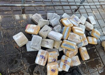 Polícia Civil prende homem com 50 quilos de maconha em embarcação no Rio Negro