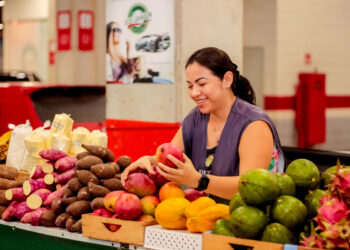 Época de Tucumã: Feira do Shopping Ponta Negra terá mais de sete mil frutos para venda