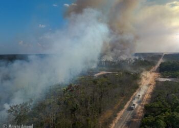 Área de influência da BR-319 registra queda de desmatamento e focos de calor