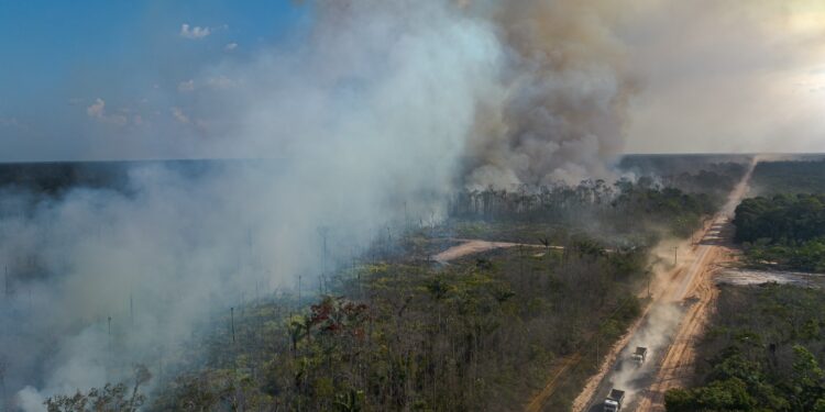 Área de influência da BR-319 registra queda de desmatamento e focos de calor