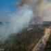Área de influência da BR-319 registra queda de desmatamento e focos de calor