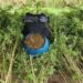 Polícia prende trio e apreende plantação de maconha no Amazonas