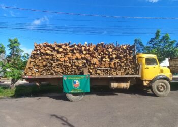 Madeira ilegal é apreendida pelo Batalhão Ambiental da PM do Amazonas