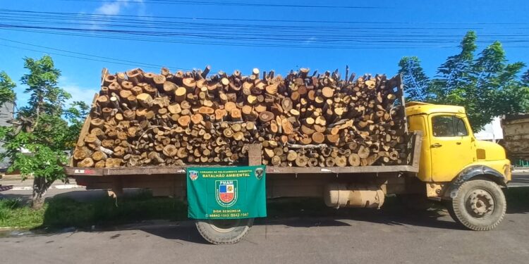 Madeira ilegal é apreendida pelo Batalhão Ambiental da PM do Amazonas