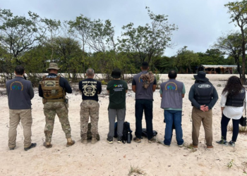 Polícia Federal fiscaliza construções irregulares em terras da União