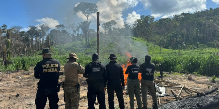 Amazônia: PF deflagra operação contra crimes ambientais em reserva extrativista
