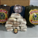 Polícia Federal prende mulher com mais de 16 kg de substância análoga à cocaína