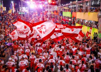 Garantido fortalece o Carnaboi 2024 como expressão cultural parintinense