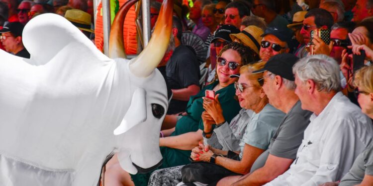 Turistas de cruzeiro se encantam com show do Boi Garantido