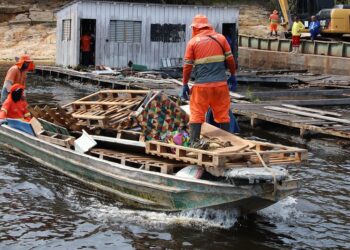 Seis flutuantes são retirados do Igarapé Tarumã-Açu em Manaus