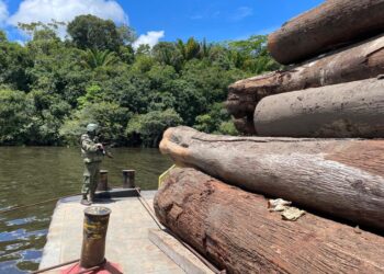 Polícia Federal deflagra combate desmatamento ilegal no Amazonas